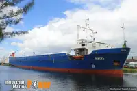 Ro-Ro ship Parduodama