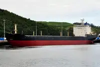 Birių krovinių laivas Parduodama