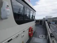 Katamaranas parduodamas