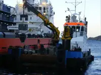 Vilktukas parduodamas