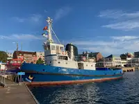 Vilkikas Parduodama