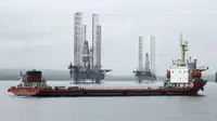 Birių krovinių laivas Parduodama