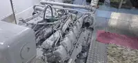 Kruizinis laivas parduodamas
