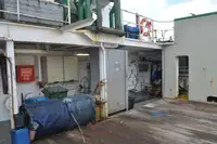 Vilktukas parduodamas
