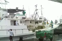 Longliner Parduodama