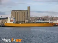 Ro-Ro ship Parduodama