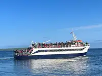 Keleivinis laivas Parduodama