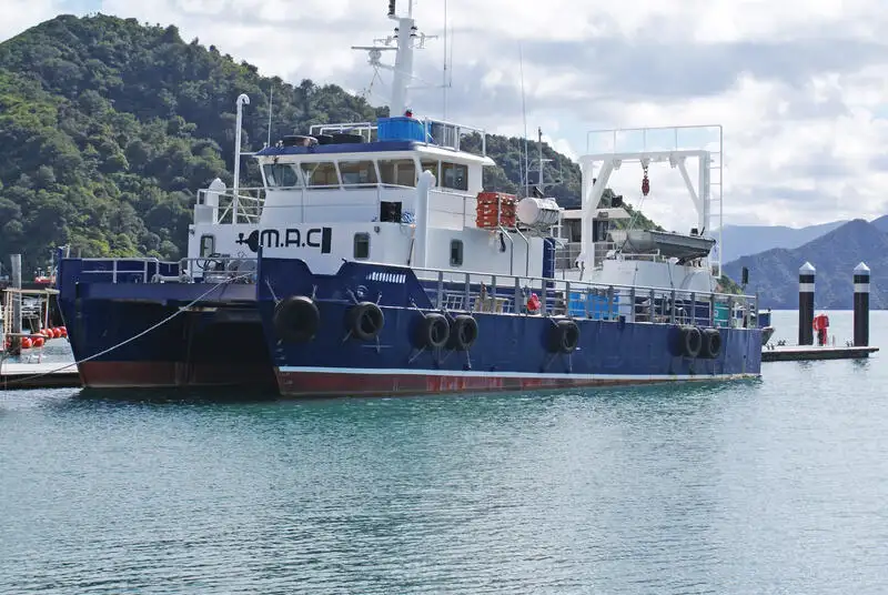 Kruizinis laivas parduodamas