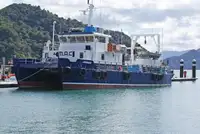 Kruizinis laivas parduodamas