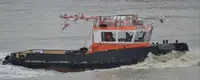 Vilktukas parduodamas