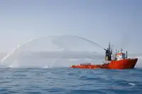 Vilktukas parduodamas