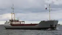 Birių krovinių laivas Parduodama