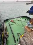 Vilktukas parduodamas