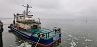 Vilktukas parduodamas