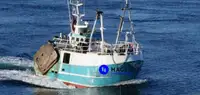 Beam trawler Parduodama