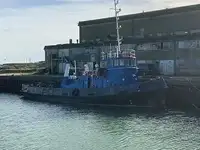 Vilktukas parduodamas