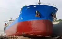 Birių krovinių laivas Parduodama