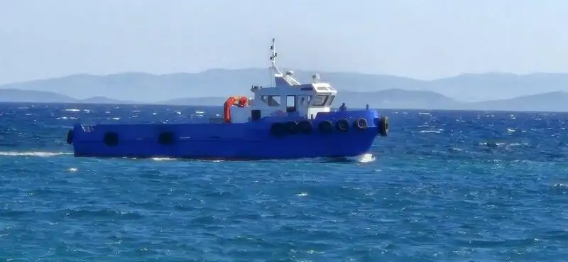 Vilkikas Parduodama