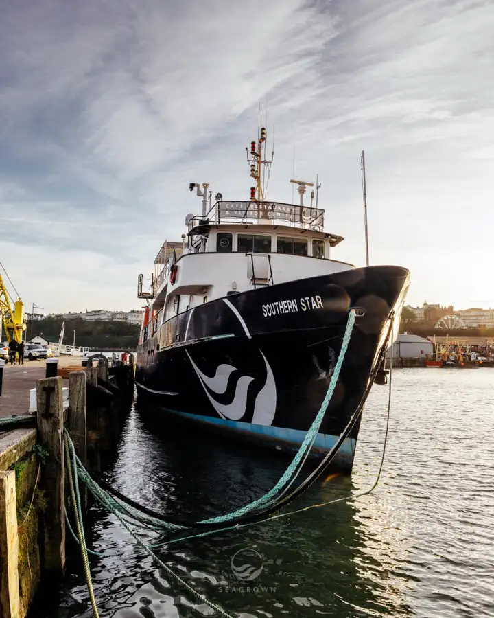 Apžiūros laivas Parduodama