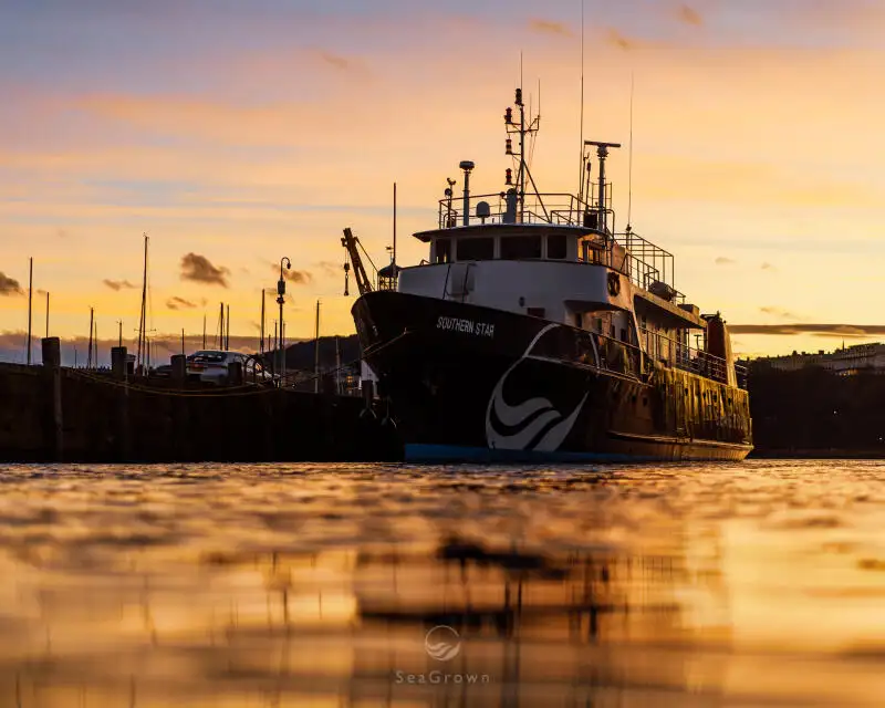 Apžiūros laivas Parduodama