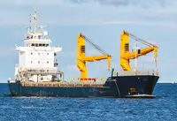 Birių krovinių laivas Parduodama