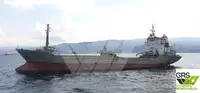 Birių krovinių laivas Parduodama