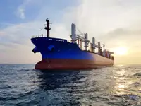 Birių krovinių laivas Parduodama