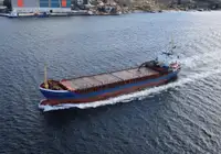 Birių krovinių laivas Parduodama