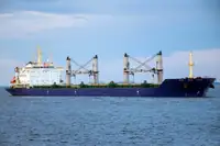 Birių krovinių laivas Parduodama