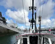 Pilotinis kateris Parduodama