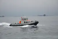 Vilkikas Parduodama