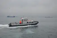 Vilkikas Parduodama