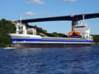 Birių krovinių laivas Parduodama