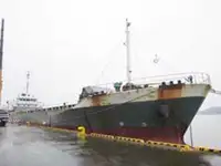 Birių krovinių laivas Parduodama