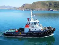 Birių krovinių laivas Parduodama