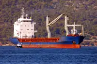 Birių krovinių laivas Parduodama