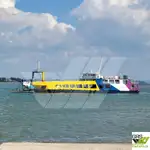 Nusileidimo laivas, bakas Parduodama