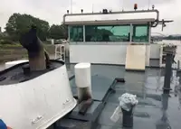 Birių krovinių laivas Parduodama
