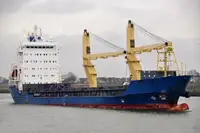 Birių krovinių laivas Parduodama