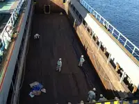 Birių krovinių laivas Parduodama