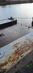 Žemsiurbė Parduodama