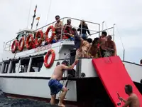 Nardymo palaikymas Parduodama