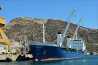 Birių krovinių laivas Parduodama