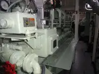 Tyrimo indas Parduodama