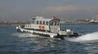 Vilkikas Parduodama