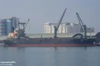 Birių krovinių laivas Parduodama