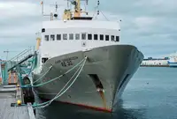 Tyrimo indas Parduodama
