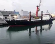 Birių krovinių laivas Parduodama