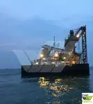 Birių krovinių laivas Parduodama